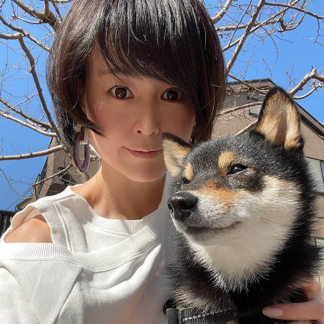 岩瀬玲さんのインスタグラム写真 - (岩瀬玲Instagram)「今日は上着も要らない暖かさ 明日もあったかいみたいです  紫外線対策も大切だし 寒暖差が激しいので免疫力落ちがちなので、みんなで自分を労ろう♥️  花粉もすごくて大変😭 わたしは点鼻薬で乗り切ってます  春はもうすぐですかね〜  今日はオーディションのための モデルさんの資料作りでした  モデルやモニターの案件は @beauty_edge  に投稿してます♥️  #写真撮る時だけ #マスクとってます #紫外線 #寒暖差アレルギー #美容家」2月21日 20時43分 - akirakkuma