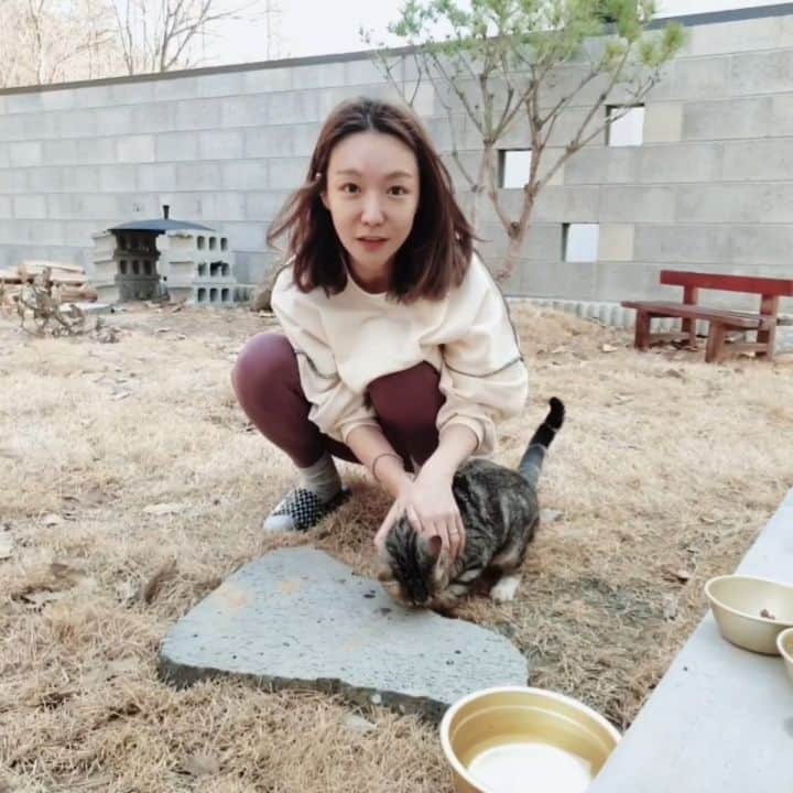 シン・ソユルのインスタグラム：「뒷마당에... 갑자기 고먐미가...🙊 어떡하지...ㅠㅠ」