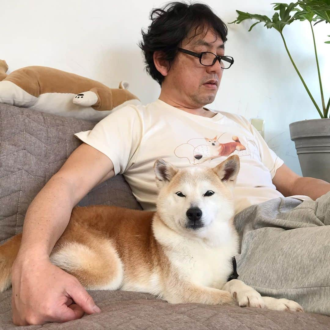 柴犬リリコさんのインスタグラム写真 - (柴犬リリコInstagram)「長年愛用しているリリコさんＴシャツです👨🏻」2月21日 20時53分 - ke_rock_