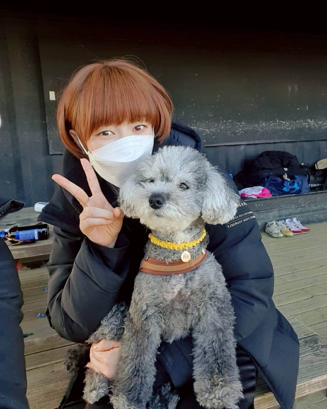 ソ・ヒョウオンさんのインスタグラム写真 - (ソ・ヒョウオンInstagram)「너무 착하고 순한 강아지 🐶  지인분 강아지입니다! 이름이 아미!!뜨든!」2月21日 20時53分 - suh_hyowon_