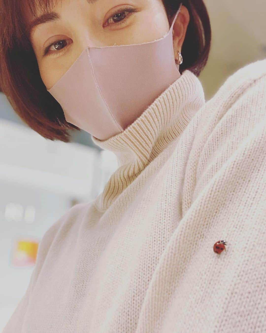 比嘉愛未さんのインスタグラム写真 - (比嘉愛未Instagram)「いらっしゃい❤️🖤❤️ #ちいさな訪問者」2月21日 20時56分 - higa_manami