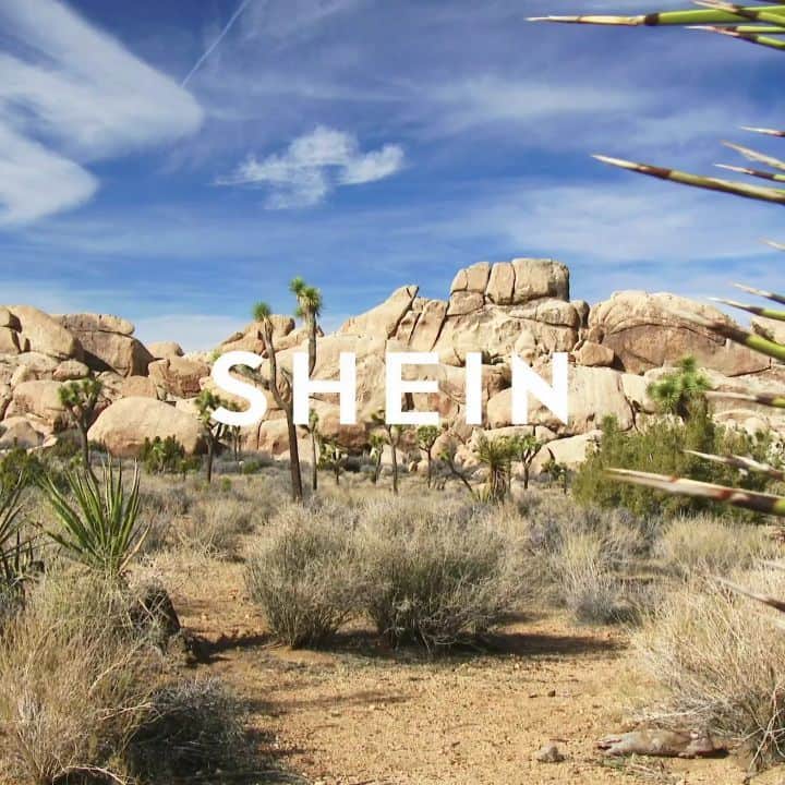 SHEINのインスタグラム：「NEW ARRIVALS: Spring it on in SHEIN this season! ✨ #SHEIN #LOOKBOOK」