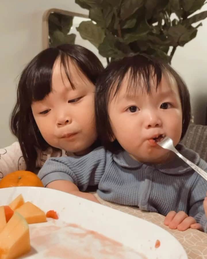 MOMOツインズのインスタグラム：「Some things never change. How she’ll gladly give up her precious last piece of watermelon to her sister...I would have swallowed it whole 🤣 #laurenthefoodie #momotwins」