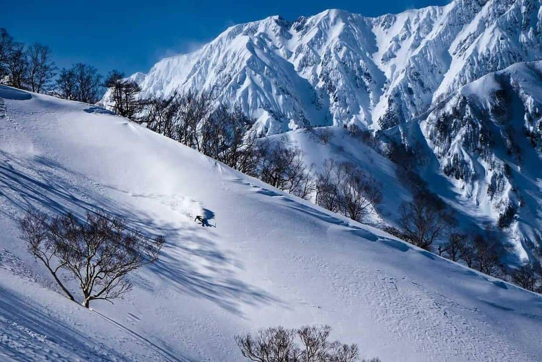 江本悠滋さんのインスタグラム写真 - (江本悠滋Instagram)「ゆかいな仲間との時間はどんなコンディションでも楽しい❤️  #paraglider #paragliding #paraglidingworld #hikeandfly #fly #adventure #flying #travel #mountain #snow #ski #skiing #alpine #running #trailrunning #thenorthface #k2skis #sweetprotection #hakubavalley #hakuba #backcountry #japow #parapente #ズットン #パラグライダー #登山 #山岳ガイド」2月21日 21時11分 - emoto_yuji