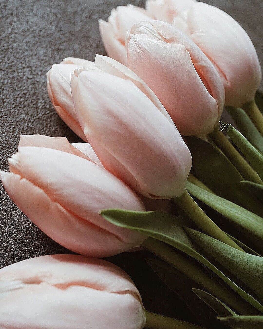 Yukicoさんのインスタグラム写真 - (YukicoInstagram)「𓆱𓆸𓆹𓆺 𝑆𝑝𝑟𝑖𝑛𝑔 ℎ𝑎𝑠 𝑐𝑜𝑚𝑒.  ————————————————————— 見てくださる方にプラスになる投稿をしていきます 是非いいね♡フォロー♡ よろしくお願いいたします𓅟 私の写真の編集については フォトレッスンでレクチャーをしています —————————————————————  #storyofmylife#flowers#flowerporn#flowerslovers#flowerstyles#floweroflife#flower_perfection#flowerstagram#flowerporn#still_life_gallery#floweroftheday#littlethings#livethelittlethings#tv_living#f52grams#f52home#gatheringslikethese#feedfeed#simplepleasures#momentslikethese#blooms#flowertalking#bouquet#bouquets#flowerpower#thatsdarling#nothingsordinary#花のある暮らし」2月21日 21時19分 - yukicolifecom