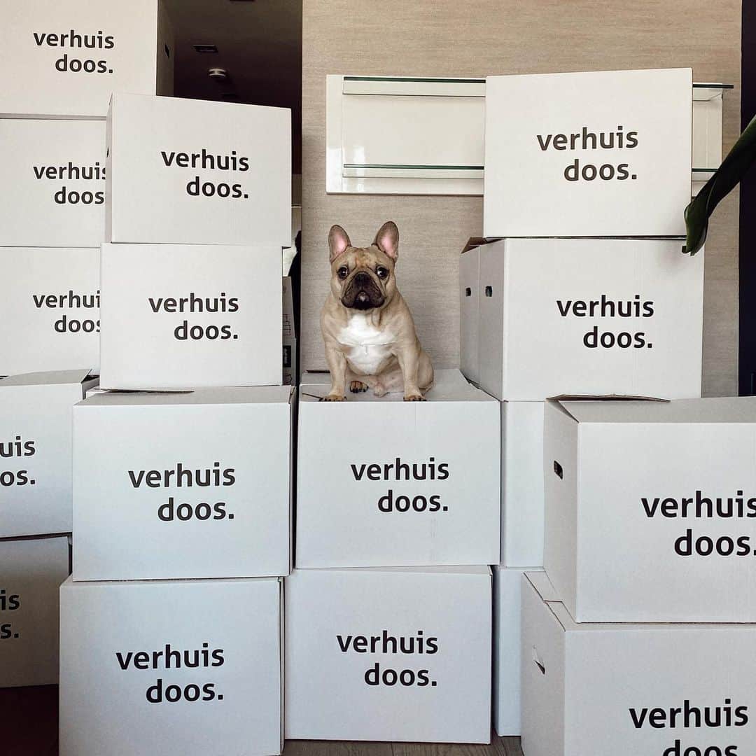 のインスタグラム：「It’s happening! Among all chaos there is  so much excitement cuz the moment is finally here: we’re moving to our new home! 📦📦📦📦 Still packing and there so much we need to do so bear with me, I’ll be back soon with new tutorials once we settle down in our new place💋 و اخيرا راح نتحول للبيت الجديد. لا يزال أمامنا الكثير من العمل بس كلش كلش فرحانين. سأعود قريبا♥️」