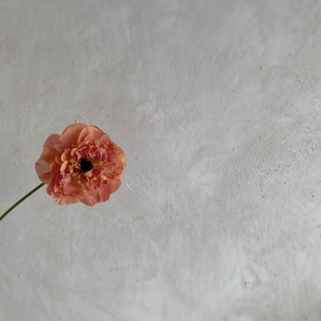 플로리스트 이주연 florist Lee Ju Yeonのインスタグラム