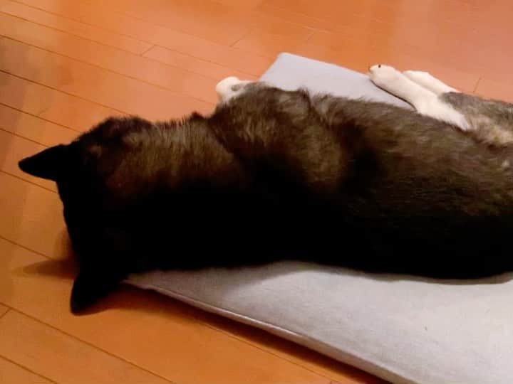 くろのインスタグラム
