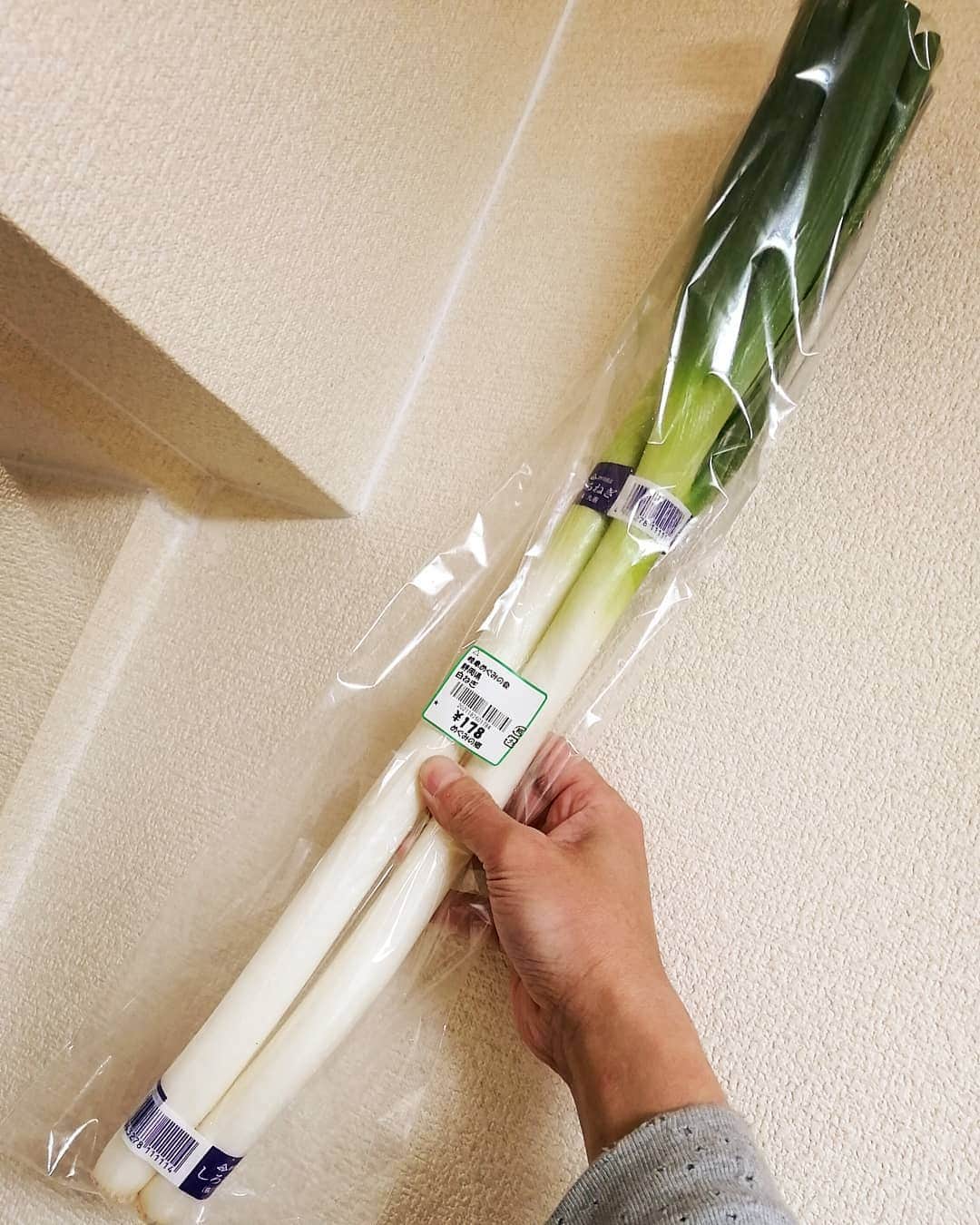 晁直 のインスタグラム：「これはネギですか？」