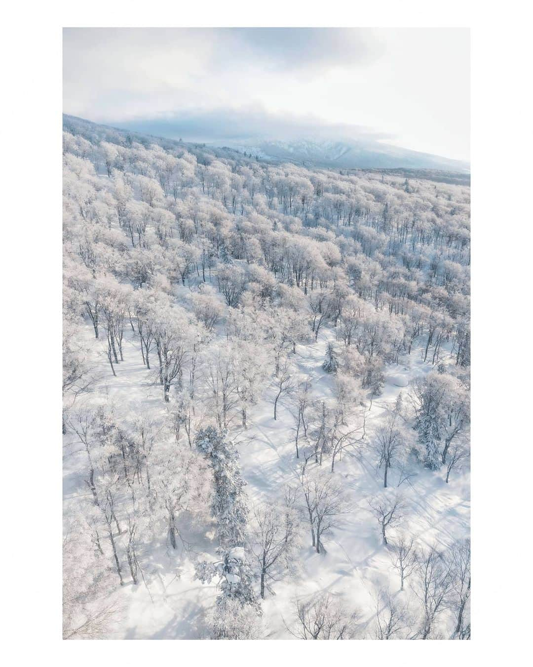 Berlin Tokyoさんのインスタグラム写真 - (Berlin TokyoInstagram)「In the harsh winter, the ice on Mt. Hakkoda is like a panorama created by nature. A fantastic white world unfolds in front of your eyes. . . Juhyo (tree ice) refers to the cold winds from Siberia that originally froze old fields as snow and turned them into moisture at temperatures below 0 degrees Celsius, which became strong winds and stuck to evergreen trees in cold areas and snowy mountains as ice.  The huge juhyo are called "snow monsters" because of their appearance.  The cold at the top of the mountain was the coldest I had ever experienced in my life. . . . #hellofrom Aomori, #japan」2月21日 21時58分 - tokio_kid