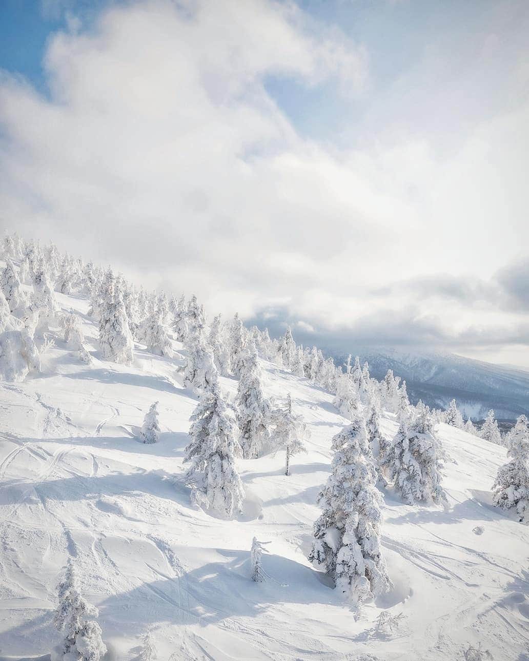 のインスタグラム：「In the harsh winter, the ice on Mt. Hakkoda is like a panorama created by nature. A fantastic white world unfolds in front of your eyes. . . Juhyo (tree ice) refers to the cold winds from Siberia that originally froze old fields as snow and turned them into moisture at temperatures below 0 degrees Celsius, which became strong winds and stuck to evergreen trees in cold areas and snowy mountains as ice.  The huge juhyo are called "snow monsters" because of their appearance.  The cold at the top of the mountain was the coldest I had ever experienced in my life. . . . #hellofrom Aomori, #japan」