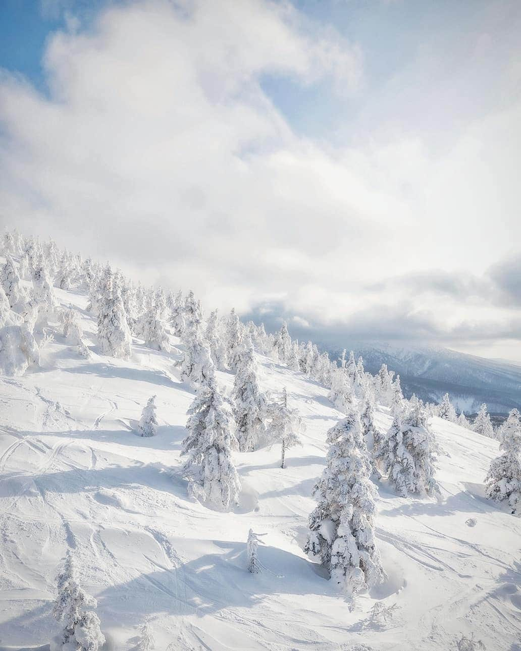 Berlin Tokyoのインスタグラム：「In the harsh winter, the ice on Mt. Hakkoda is like a panorama created by nature. A fantastic white world unfolds in front of your eyes. . . Juhyo (tree ice) refers to the cold winds from Siberia that originally froze old fields as snow and turned them into moisture at temperatures below 0 degrees Celsius, which became strong winds and stuck to evergreen trees in cold areas and snowy mountains as ice.  The huge juhyo are called "snow monsters" because of their appearance.  The cold at the top of the mountain was the coldest I had ever experienced in my life. . . . #hellofrom Aomori, #japan」