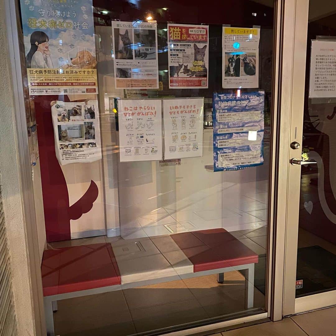 みずしな孝之のインスタグラム：「あっ！」