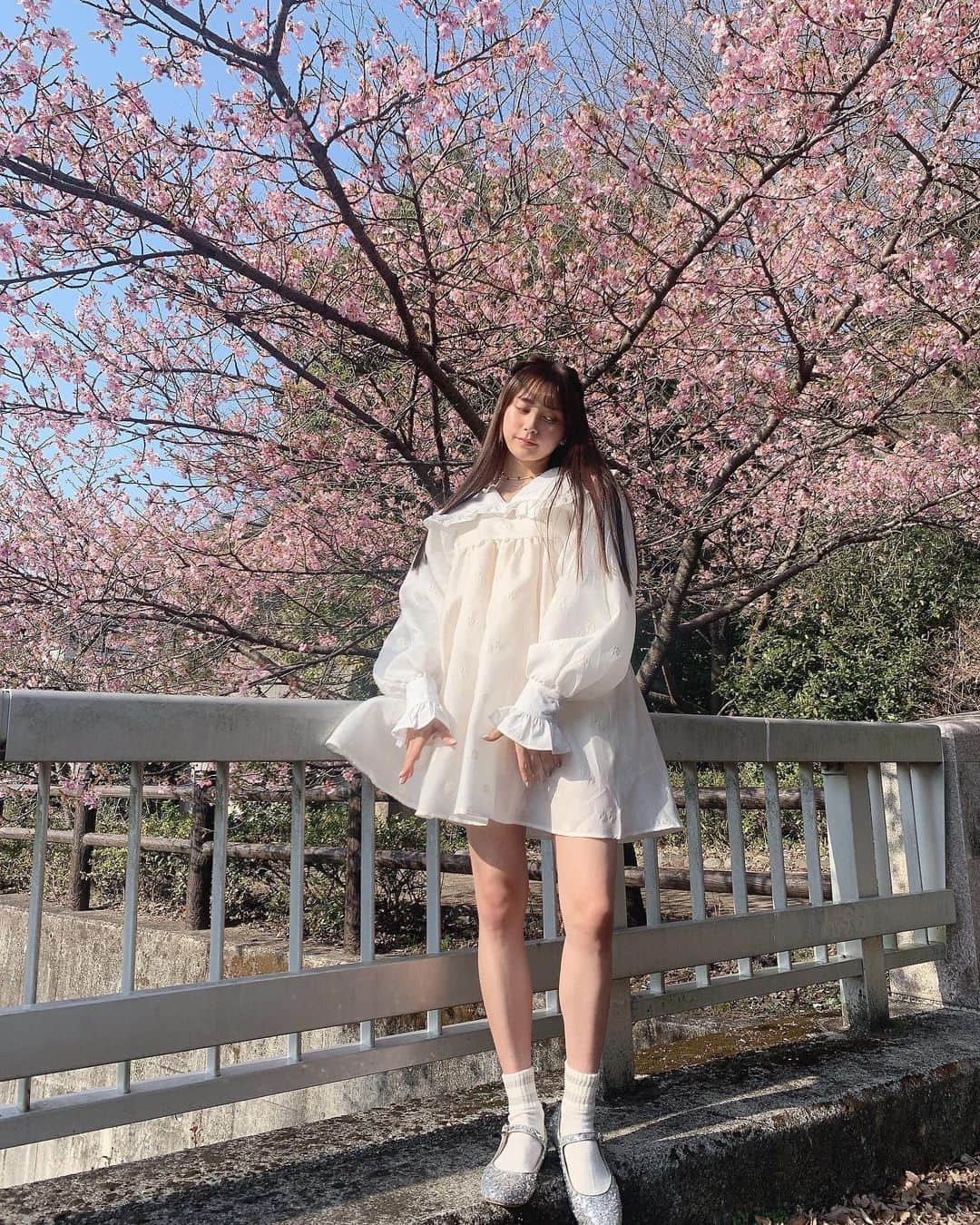 小山リーナさんのインスタグラム写真 - (小山リーナInstagram)「桜の季節ですね〜🌸」2月21日 22時21分 - rina_koyama_box