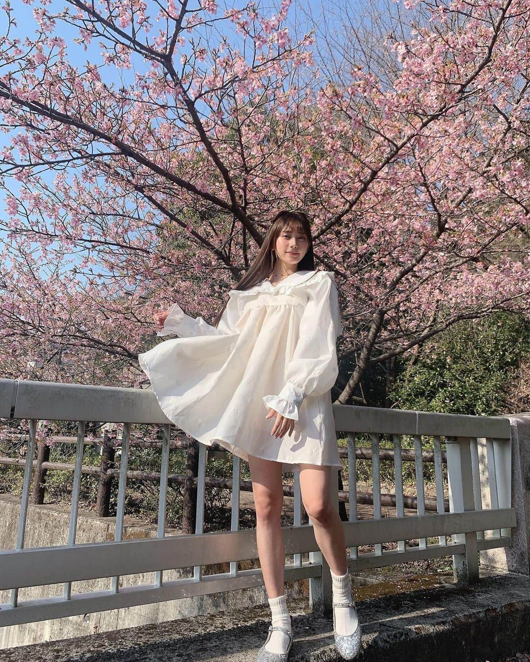 小山リーナさんのインスタグラム写真 - (小山リーナInstagram)「桜の季節ですね〜🌸」2月21日 22時21分 - rina_koyama_box