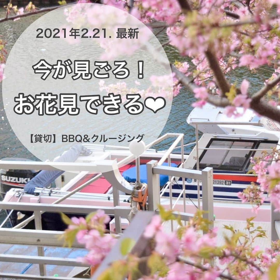 アニバーサリークルーズのグルメインスタ