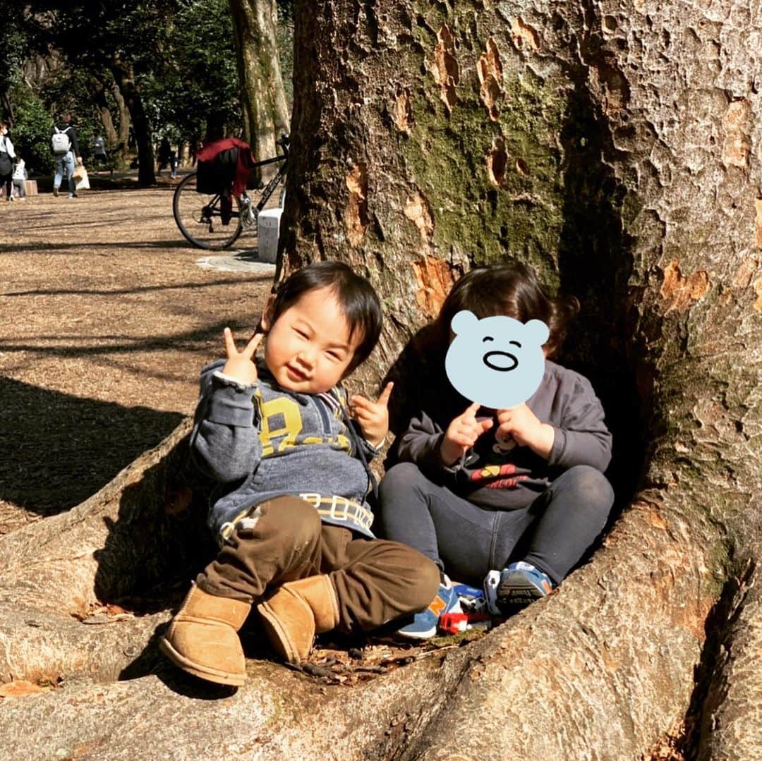 右手愛美のインスタグラム：「大きな公園に行きました🌳✨ ・ 太陽がぽかぽかで日焼けする程でした！でも風はすこし冷たくて、私はお腹が冷えてしまいました。まだまだ冬の寒さが残っているので、腹巻やあったか毛糸のパンツが必須だったなぁと反省しました🌀 ・ 久しぶりにお友達と会えて嬉しくて仕方のない息子と私でした🧡 #大きな木#遊び場#自然と触れ合う#休日の過ごし方」