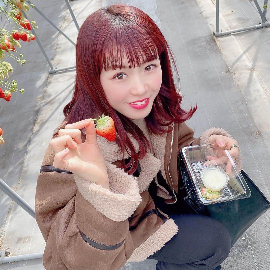 星咲るかのインスタグラム：「1年くらい前の赤髪時代❤️❤️ 髪も短い😳😂 ・  ・  ・  ・  ・ FCサイト ミーグラム はぴるか🌟スタジオで待ってるよ☺︎ ・  #グラビア #グラビアアイドル  #グラビア自撮り部 #インスタグラビア  #美女 #美女図鑑　#黒髪 #セクシー　#フォロワー増やしたい  #サロモ募集 #撮影会モデル #東京 #gravure #gravureidol  #gravuremodel #idol #japan #tokyo #akihabara #japanesegirl #ajiangirl #ulzzanggirl #photo #dancer #followme #yellowcab #イエローキャブ #星咲るか  #日本一踊れるグラビアアイドル  #ミーグラム」