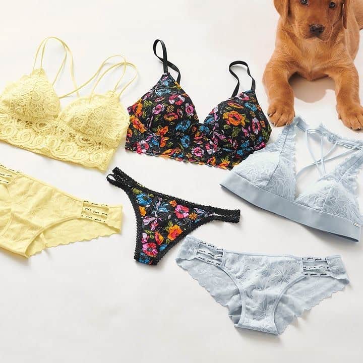 Victoria's Secret PINKさんのインスタグラム写真 - (Victoria's Secret PINKInstagram)「We’ll take the puppy and all the pretty lace, please!☺️」2月21日 22時56分 - vspink