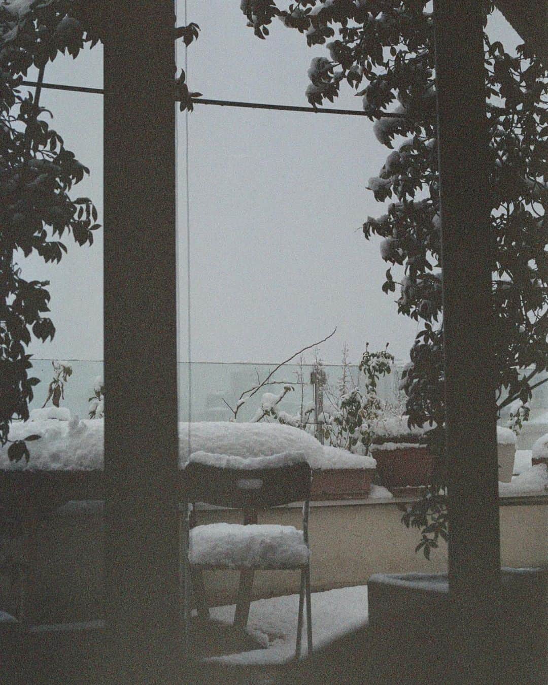 ケルシー・ロビンソンさんのインスタグラム写真 - (ケルシー・ロビンソンInstagram)「cozy snow days on underexposed film.. oops ❄️」2月21日 23時25分 - krobin32