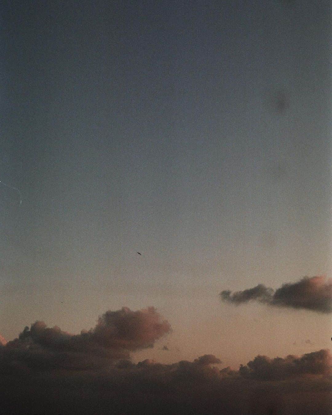 のインスタグラム：「cozy snow days on underexposed film.. oops ❄️」