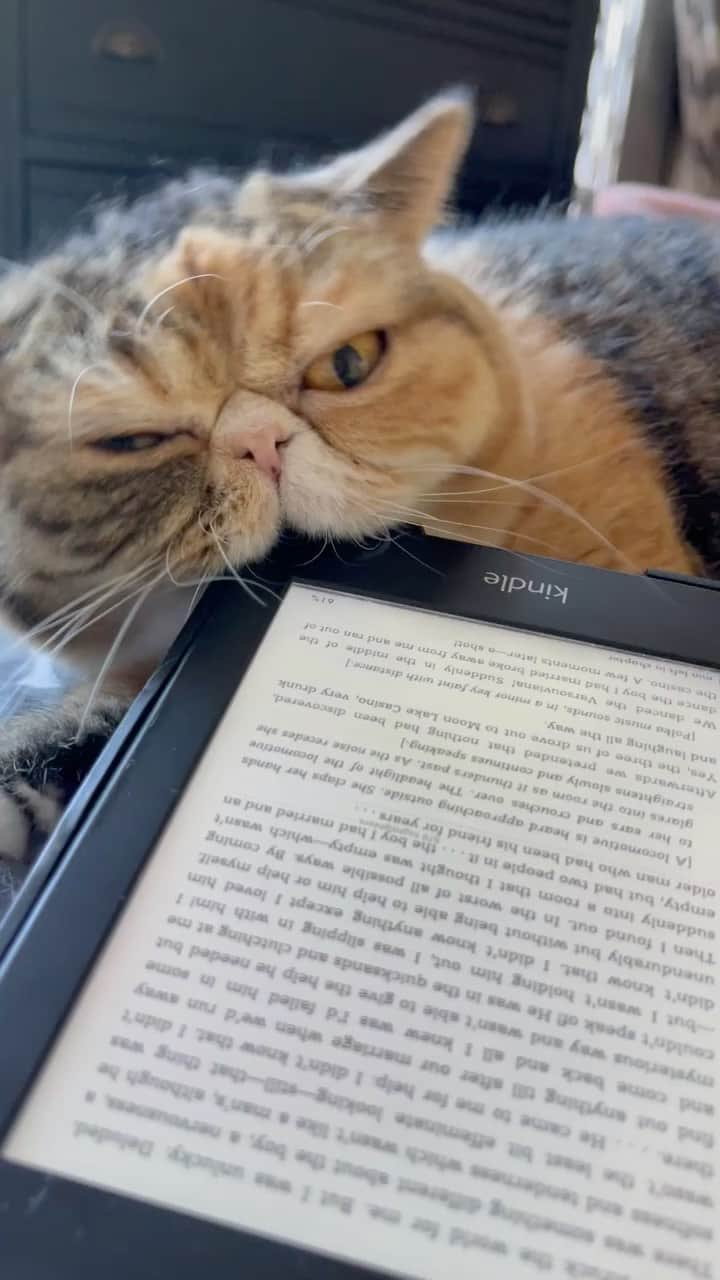 Tinaのインスタグラム：「Avid reader 🤓」