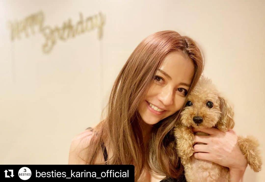 香里奈のインスタグラム：「#Repost @besties_karina_official with @make_repost ・・・ Thanks for your birthday wish 🎂🥂✨ I appreciate your continued support😋 And.. I could spend time with my dogs on my B.D night🐩✌️⭐️  皆さん、 日頃からBESTIESを応援いただきありがとうございます✨ これからも大切な愛犬達と、 BESTIESと共に、皆様と 素敵な時間を共有できたらと思います✨ 今後ともよろしくお願いいたします🐩⭐️  #besties  #香里奈 #karina #birthday #20210221 #pet #dog #dogslife  #toypoodle with #はなび #hanabi #dogshampoo  #lovefamily #🐩」