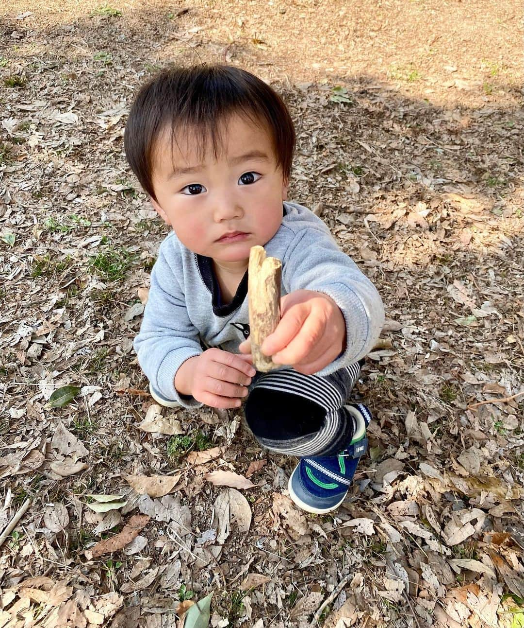 輝良まさとさんのインスタグラム写真 - (輝良まさとInstagram)「・ 土日と午前・午後とも公園へ‼️ 公園×4😂 めちゃくちゃ動き回って良く遊んでだね👍  最近地図と睨めっこして自転車で行ける範囲で割と大きめの公園を新規開拓するのが土日の習慣になってます😂😂笑  真那人と一緒に公園で遊んでるはずなのに全然痩せなくてむしろ肥えてきてる（＝そんだけ良く食べてプラスおやつまで食べたりしてるから😭笑）  真那人は初めてマックのドナルドを見てギャン泣きしてました😂😂 ドナルドって結構怖いよね😅笑  さて、また明日から1週間頑張りましょ〜❣️ おやすみなさーい💤  #休日#土日#公園巡り#新規開拓#よく遊んだ#ドナルド#怖い#レインボーベビー#レインボーベビー真那人#令和元年ベビー#6月生まれ#1歳#1歳8ヶ月#1歳半#赤ちゃん#赤ちゃんのいる生活#ままのて#ママリ#ベビフル#可愛い#愛おしい」2月22日 0時02分 - kirahama0703