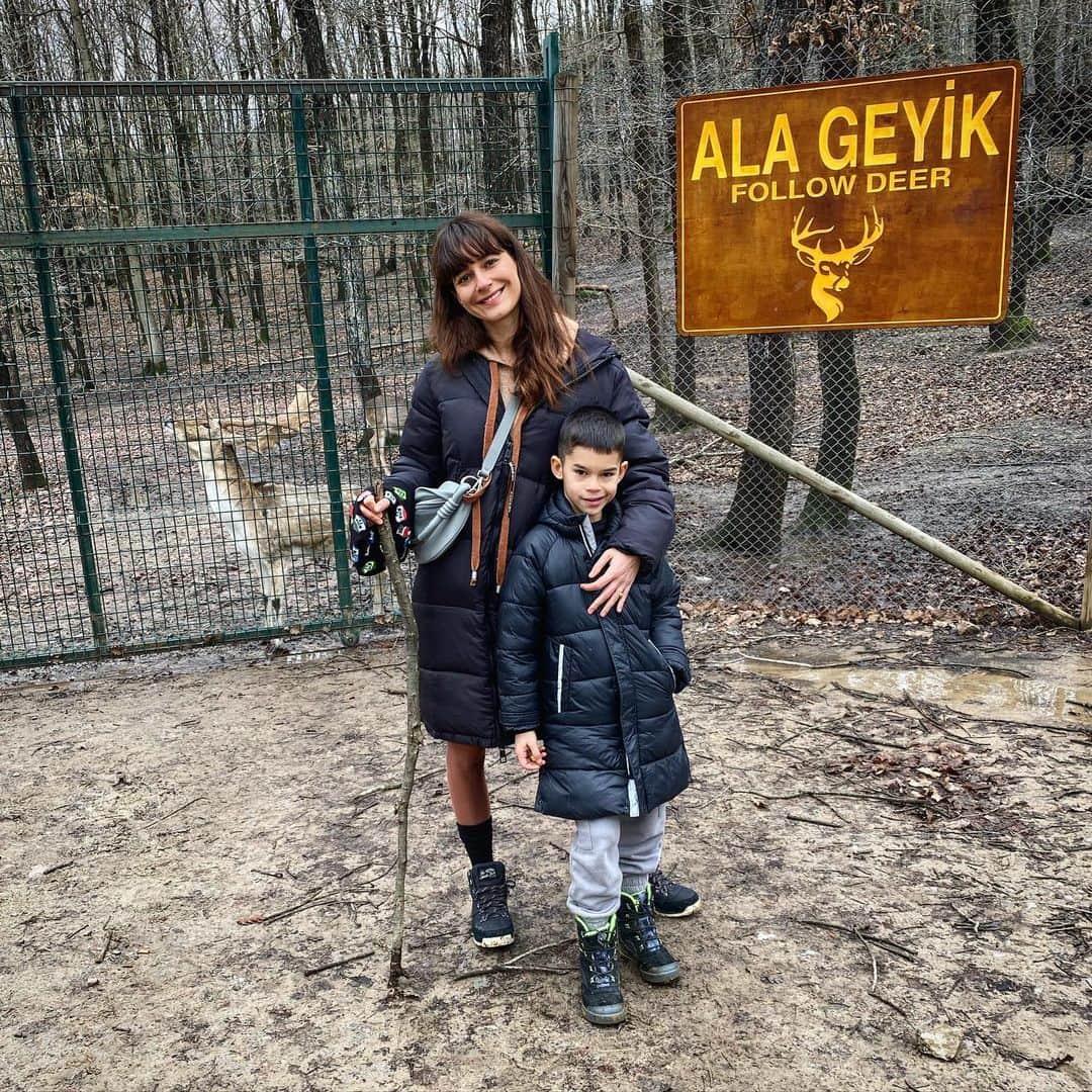 Sedef Avciのインスタグラム：「Follow  Deer 🦌🦌🦌」