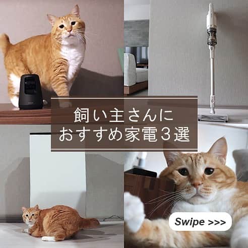 のインスタグラム：「. 【🐈今日2/22はねこの日 🐈‍】  そこで！ ぐっぴー（ @gupitaro ）の飼い主・さきともさんの リアルレビューによるおすすめの家電を紹介します🐱 . . . 1⃣ペットカメラ お留守番中のねこちゃんの体調や様子が気になる...😰  そんなときにペットカメラがあれば スマホで外出先からでもペットの様子が確認できます🎶  癒しと安心感をくれるペットカメラは、 猫を愛する飼い主のマストアイテムかも✨  さきともさんのレビューはこちら⬇ ＊-＊-＊-＊-＊-＊-＊-＊-＊-＊-＊-＊-＊-＊-＊ ちゃんとお留守番してるぅ～！ 帰りを待っていてくれてるぅ～！ と、正気を失うくらいに愛おしさが大爆発します。愛、深まります。  もちろん、ペットカメラはいつでも様子が見られるという安心感もありますし、ペットを愛する現代の人間たちには「絶対必要」と言っても過言ではない、と思います。 ＊-＊-＊-＊-＊-＊-＊-＊-＊-＊-＊-＊-＊-＊-＊ . . . 2⃣コードレススティック掃除機 パワーコードレス 掃除してもしても……どこからともなく湧いて出る毛玉やほこり😣 特に抜け毛と飛び散る猫砂は大変ですよね💦  そこでパナソニックのパワーコードレス！ 高い吸引力で猫砂までしっかり吸引します🌪️  さきともさんのレビューはこちら⬇ ＊-＊-＊-＊-＊-＊-＊-＊-＊-＊-＊-＊-＊-＊-＊ 大粒の砂をも吸い込む強烈な吸引力や、かゆいところに手が届く機能、そして豊富なアタッチメントで、しっかりと掃除ができる一方、コードレスのスティックタイプなので“さっと”使える使い勝手のよさも備わった、まさに一石二鳥の掃除機と感じました。  これならマメに掃除ができるどころか、むしろ掃除したいと思えるし、ぐっぴーを毛やほこりから守ることができる！（実際、私は今、人生で初めて毎日掃除機かけています…）。 そしてなによりオシャレ。ぐっぴーが怖がるので、わが家は掃除機をしまっていますが、インテリアとしてもなじむこのデザイン、“さっと”使えるように、外に出しておいてもいいですね。 ＊-＊-＊-＊-＊-＊-＊-＊-＊-＊-＊-＊-＊-＊-＊ . . . 3⃣ジアイーノ いつも癒しをくれる猫ちゃん💕 ...けどニオイ対策に悩むことも💦  そんなときジアイーノなら 次亜塩素酸でお部屋のニオイを素早く脱臭🌀 爽やかな空気で過ごせます🍀  さきともさんのレビューはこちら⬇ ＊-＊-＊-＊-＊-＊-＊-＊-＊-＊-＊-＊-＊-＊-＊ 本当に、ウソみたいに家のニオイが気にならなくなりました。おかげで、空気がキレイなので、在宅勤務などでも集中力がアップしたような気がします。  個人的には、ジアイーノは“空気洗浄機”のような印象です。 ずっと課題だった「ペットの安全」と「ニオイ対策」が初めて両立できて、猫も人間も、快適な生活が送れる理想的な「空間除菌脱臭機」でした！  ＊-＊-＊-＊-＊-＊-＊-＊-＊-＊-＊-＊-＊-＊-＊ . . ----------------------------------------------- 外出先からでもペットの様子をスマホで確認できる HDペットカメラ KX-HDN215-K https://panasonic.jp/hns/products/hdn215.html  面倒なブラシのお手入れがラクに。 コードレススティック掃除機　「パワーコードレス」 MC-SBU840K https://panasonic.jp/soji/products/stick/mc_sbu840k_sbu640k.html  家族やペットが集まる広いリビングに。 次亜塩素酸 空間除菌脱臭機（ジアイーノ） F-MV4100 https://panasonic.jp/ziaino/products/f_mv4100.html  ※すべてオープン価格（価格は販売店にお問い合せください） ------------------------------------------------  #パニャソニック #ねこ #猫 #ペット #ぐっぴー #ぐぴたろ #ねこすたぐらむ #ねこ部 #ねこの日 #猫の日 #ねこのいる生活 #ねこのきもち #猫のいる暮らし #猫好きさんと繋がりたい #ジアイーノ #脱臭 #コードレス掃除機 #掃除機 #ペットカメラ #暮らし #おうち #おうち時間 #おすすめ家電  #パナソニック家電 #家電 #家事 #パナソニックと暮らす #パナソニック #panasonic」