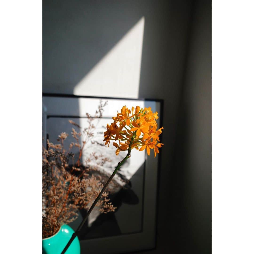 川上さやかのインスタグラム：「🌼🌼🌼」