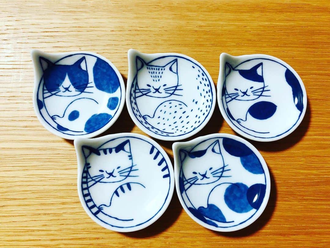 池谷のぶえのインスタグラム：「#猫の日」