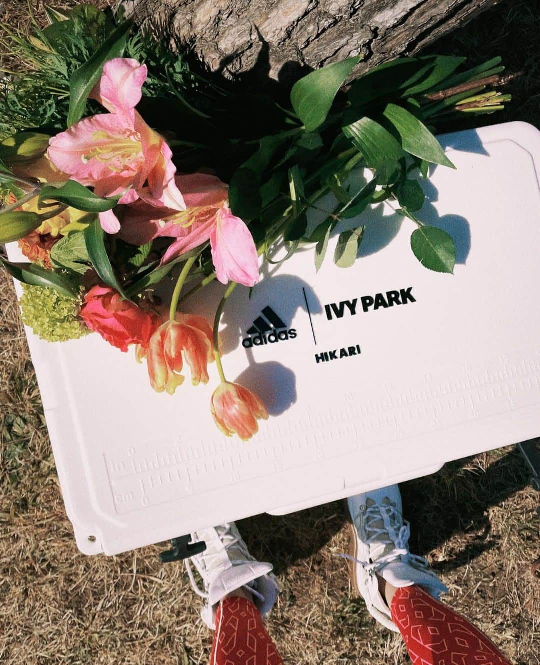 森星さんのインスタグラム写真 - (森星Instagram)「♢IVY PARK♢ by Beyoncé @adidas #adidasxIVYPARK」2月22日 11時02分 - hikari