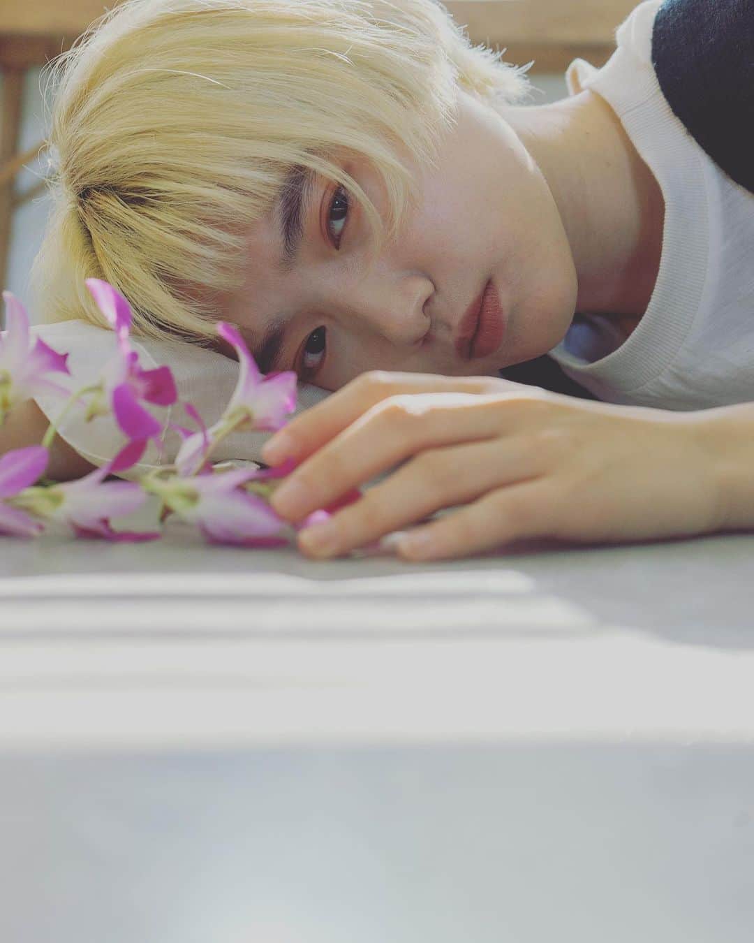 野口和弘のインスタグラム：「今日は定休日です。 . いい天気ですね。花粉も元気いっぱいです。」