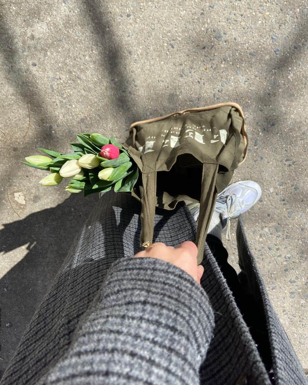 フィードプロジェクツのインスタグラム：「Signs of Spring 🌷」