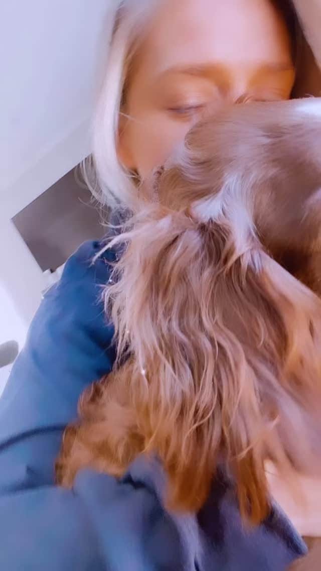 ダニエル・クヌッドソンのインスタグラム：「Update on our beautiful foster pup Jojo. ♥️🐾  I'm happy and sad 🥺 to announce that Jojo has found her FuREVER home. She has the sweetest personality and in the past month has really blossomed into her own. I secretly wanted to keep Jojo, and I said no to everyone that wanted to adopt her because they weren't the perfect fit... but then we met this family and after we got off our first FaceTime I literally cried because they are everything she deserves!  A huge yard, 3 other dogs, single level home (no stairs) if you've followed her story you know she's afraid of them 🤣. They are so perfect for her and my heart is so full knowing that she's going to continue to grow and thrive with her new family ♥️🐾🙏🏼」