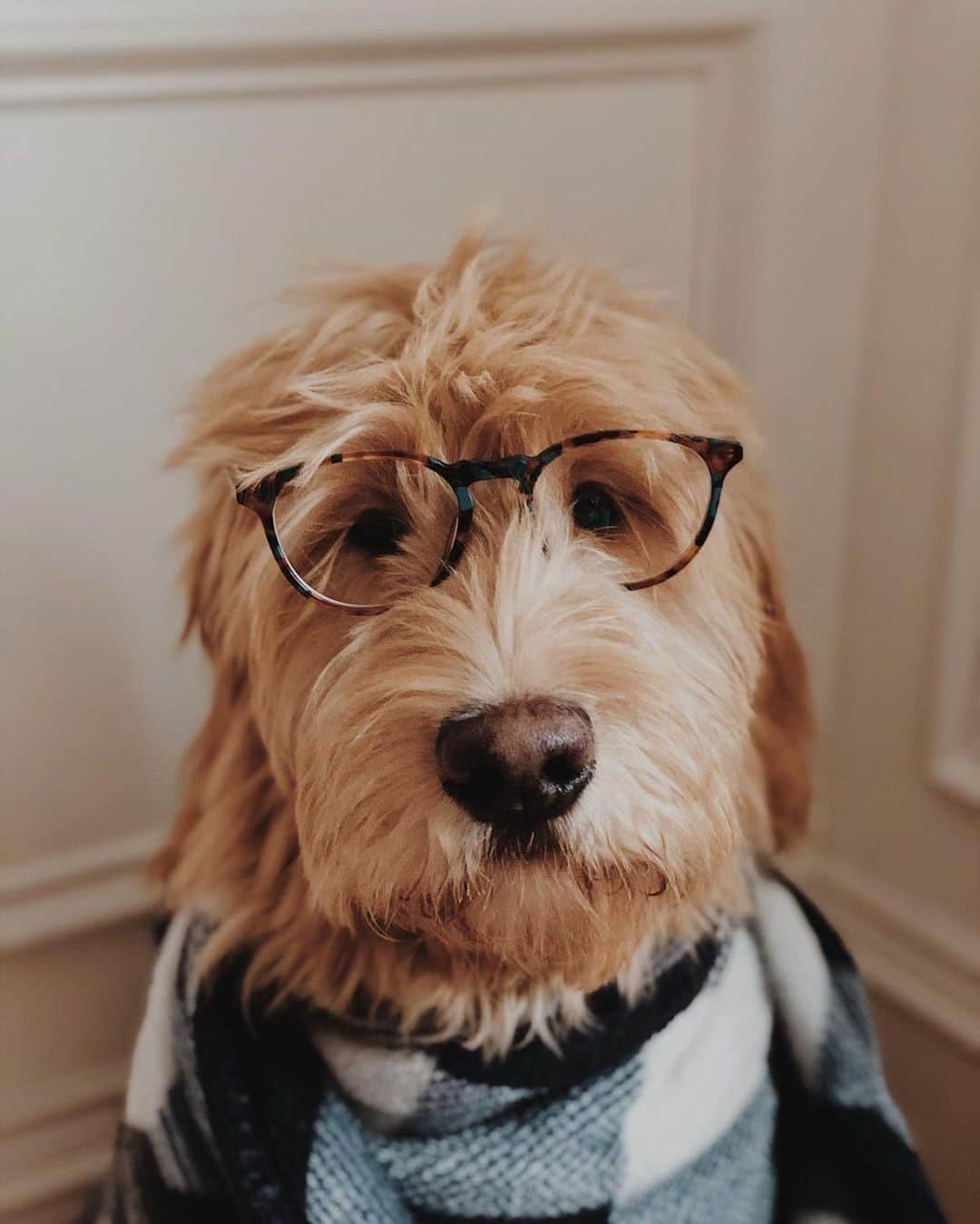 Warby Parkerのインスタグラム：「*Sets as new phone background* 📲 (📸: @rachelpowell4 and @rivercityroaming. 👓: Butler in Teal Tortoise.)」