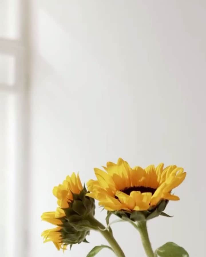 ケイラ・フィリップスのインスタグラム：「New beginnings bud around you and within you every day. You don’t need to wait for a clean slate. The Most High is in the business of making all things new. His healing brings restoration beyond understanding, no matter where you come from or what you’ve done. Cling to His promises 🤍  “Therefore if any man be in Christ, he is a new creature: old things are passed away; behold, all things are become new.” ‭‭2 Corinthians‬ ‭5:17‬ ‭KJV‬‬」