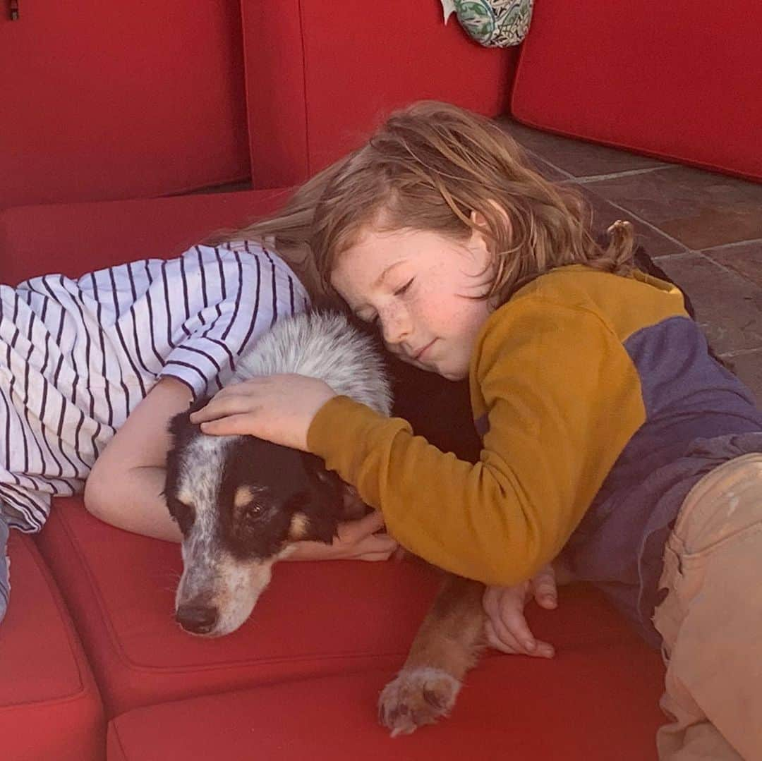 サラ・ドリューさんのインスタグラム写真 - (サラ・ドリューInstagram)「We love our sweet old girl, Lucy. ❤️❤️❤️ #nationalloveyourpetday」2月22日 3時53分 - thesarahdrew