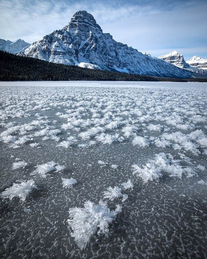 National Geographic Travelさんのインスタグラム写真 - (National Geographic TravelInstagram)「Photo by @kahliaprilphoto / Frost flowers grow from the frozen lake surface, each one so delicate and intricate. This occurs near a moisture source when temperatures are around minus 20°C (-4°F).」2月22日 4時36分 - natgeotravel