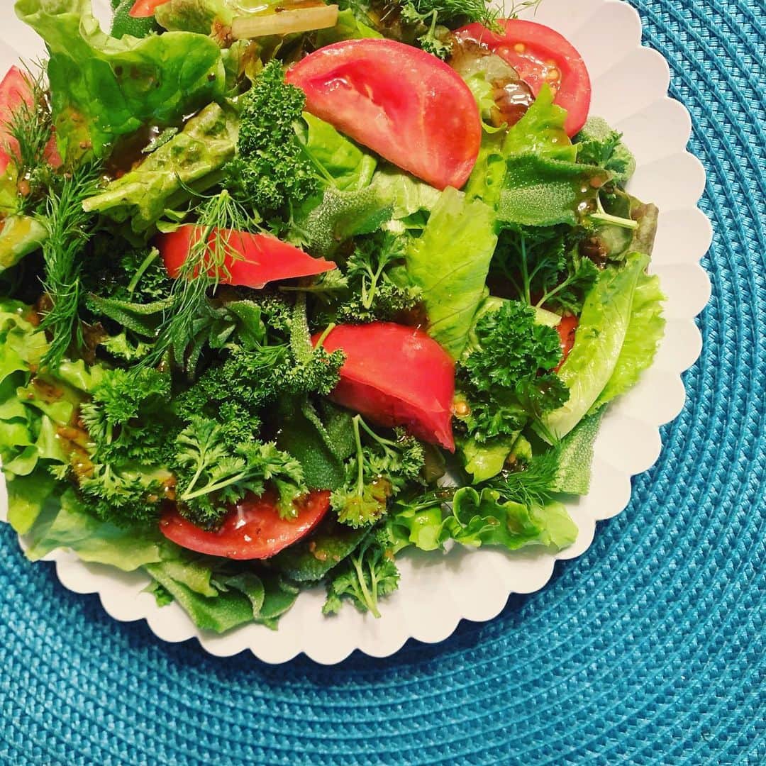 のインスタグラム：「春が近づくと生野菜が 食べたくなります🥗✨  久住の馬場りえ子さんの ミックスレタス ふぁとりあin産山 @fattoria_in_ubuyama  和代さんのパセリ&フェンネル、 エコファーム21のトマト、 道の駅で見つけたアイスプラント 身体の中から瑞々しくなる✨  #大分　#竹田　#oita #taketa #サラダ　#🥗　#人と地球に健やかな食　#earthfood #taketaearthfood #熊本　#産山　#ふぁとりあin産山 #フードマエストロ　#foodmaestro #ツタエルヒト。」