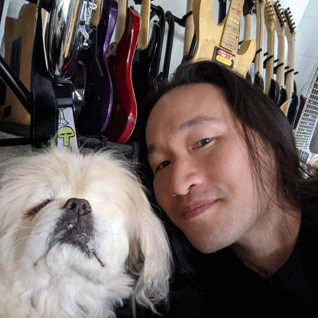 DragonForceのインスタグラム：「#dragonforce on @americanidol tonight?! How will the audience or the judges react?? Find out on the new episode tonight. - Sinbad (blind rescue dog)  @dragonforcehq #hermanli #americanidol #powermetal #guitarcollection #rescuedogsofinstagram #rescuedog #blinddogsofinstagram #blinddog #pekingese #pekingeseofinstagram #shredguitar #guitar」