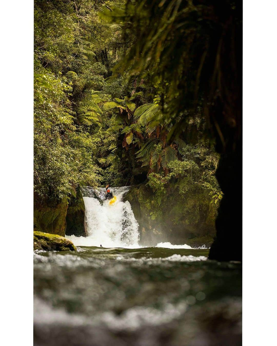 マイケル・ドーソンのインスタグラム：「Spot the bird 🦅   Another late arvo shooting session on the #kaitunariver  1/1600 | f/2.8 | 90mm   #canonnz #kaitunariverrafting #okerefalls #kayak #whitewater #nzmustdo #rotoruanz #nzsummer #vibes #ridenz #kayaknz #nzkayak #photography #nzphoto #nzphotographer #river」