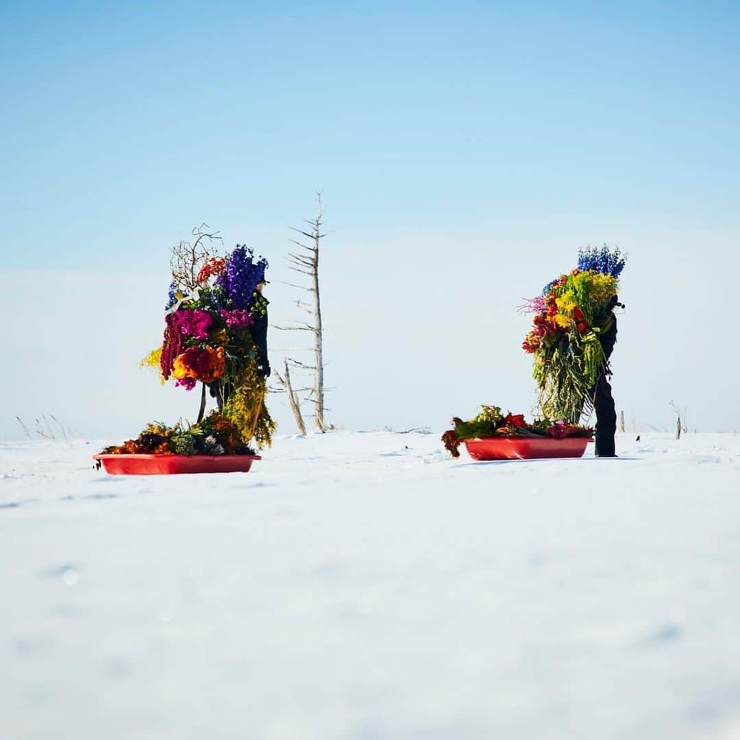 東信のインスタグラム：「Frozen Flowers (2021)  #azumamakoto #makotoazuma #shiinokishunsuke #amkk #amkkproject #botanicalsculpture #todowara #hokkaido #theendoftheworld #東信 #東信花樹研究所 #トドワラ #野付半島」