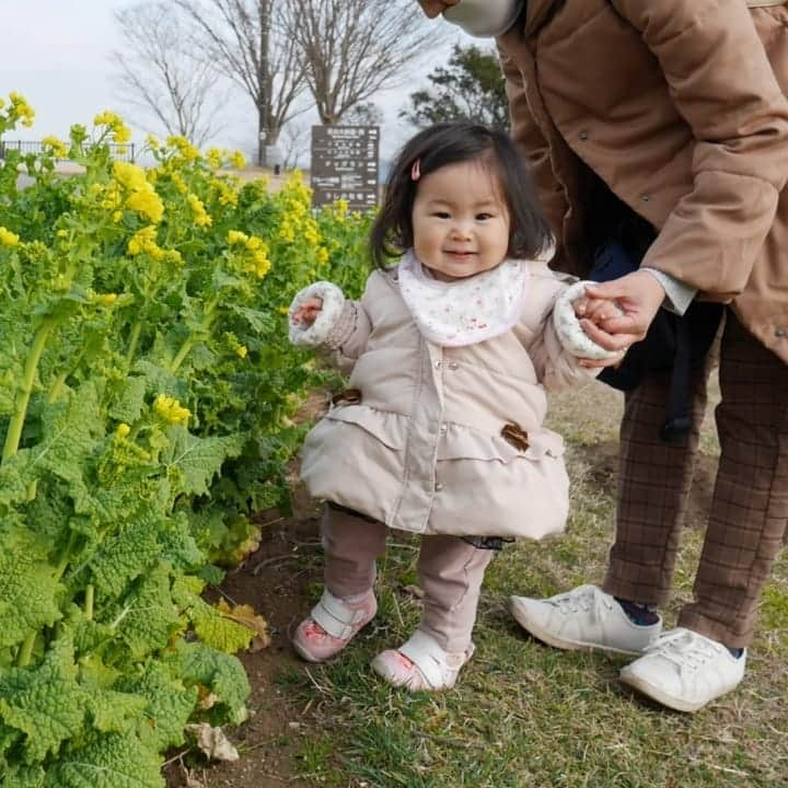 二條満月さんのインスタグラム写真 - (二條満月Instagram)「✱✱✱✱✱✱  @studio.ange 様のモデルオーディションに参加させていただきます😍  以前、100日祝いの時に撮影していただいて、とても素敵なスタジオさんでした😆✨  今回ご縁がありましたら嬉しいです♡ よろしくお願いします🙏💕  #スタジオアンジュ #studioange #親バカ部 #1歳 #1歳女の子 #ベビーモデル応募 #キッズモデル応募」2月22日 6時29分 - miiiiiii___chan