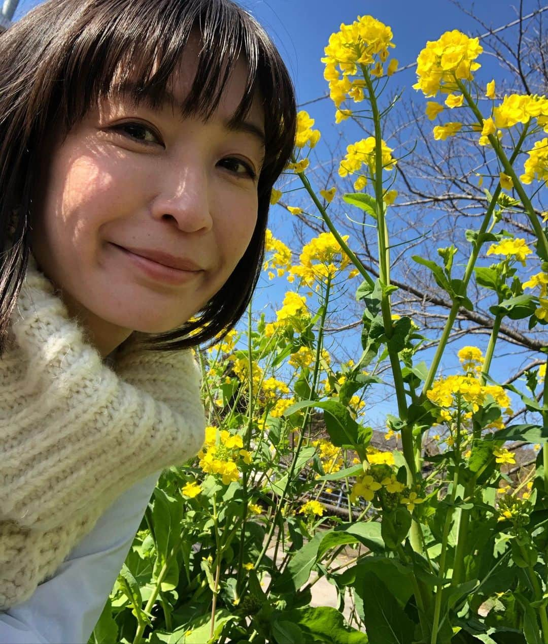 小野真弓さんのインスタグラム写真 - (小野真弓Instagram)「おはようございます🌼 昨日は、庭でも公園でも カエルが冬眠から覚めてけこけこ🐸 今日も初夏の陽気予報✨🌴 あたたかいと、ワクワクが増します(*´꒳`*) 良い一日を☺️😷🍀 #菜の花#わん散歩風景 #チワワ#ハナちゃん#食いしん坊犬#シニア犬 #チワマル#ハルくん#散歩いのち犬 #いぬばか部 #いぬすたぐらむ #chihuahua #maltese #mixdog#doglover #dogstagram #いぬのいる暮らし #千葉暮らし#日向ぼっこ犬#かーさんのシュークリーム#食べたい犬#チョコクリーム#わんこは毒だよ#わんこはお芋食べたよ🍠#オヤツタイム 🐶 ハナちゃんシャンプーで、ふわふわになりました😊♨️ 縁側日向ぼっこで休憩ばあちゃん☺️ 食べ物が出てくると🧁途端にお目目キラーン✨👀 若返ります🐾 そして、 そんなことよりー😑 ねぇあそぼーよー🎾のハルくん🐾🐶 わんこも、それぞれで面白い（＾ω＾）」2月22日 6時33分 - hanaharuaroi