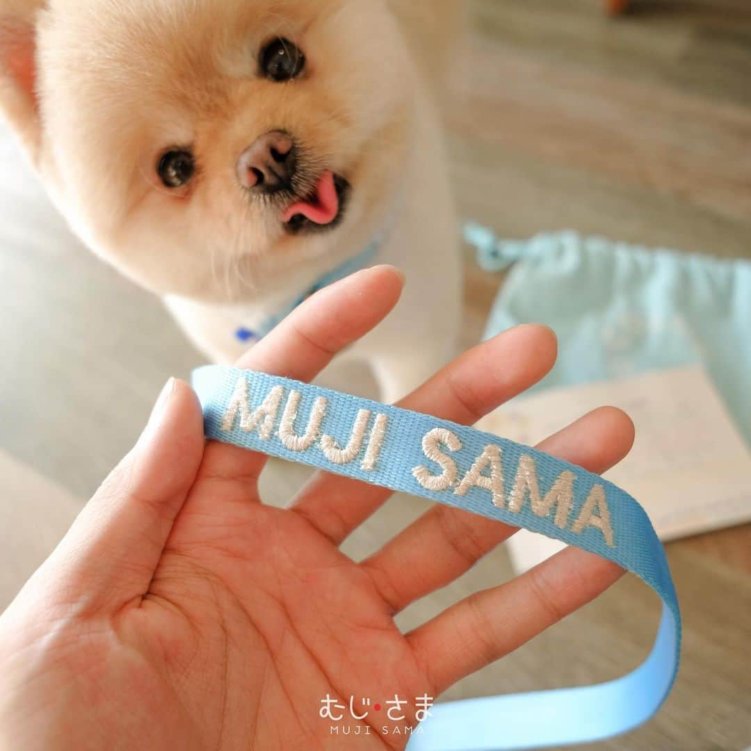 むじさまさんのインスタグラム写真 - (むじさまInstagram)「😛」2月22日 6時33分 - mujisama