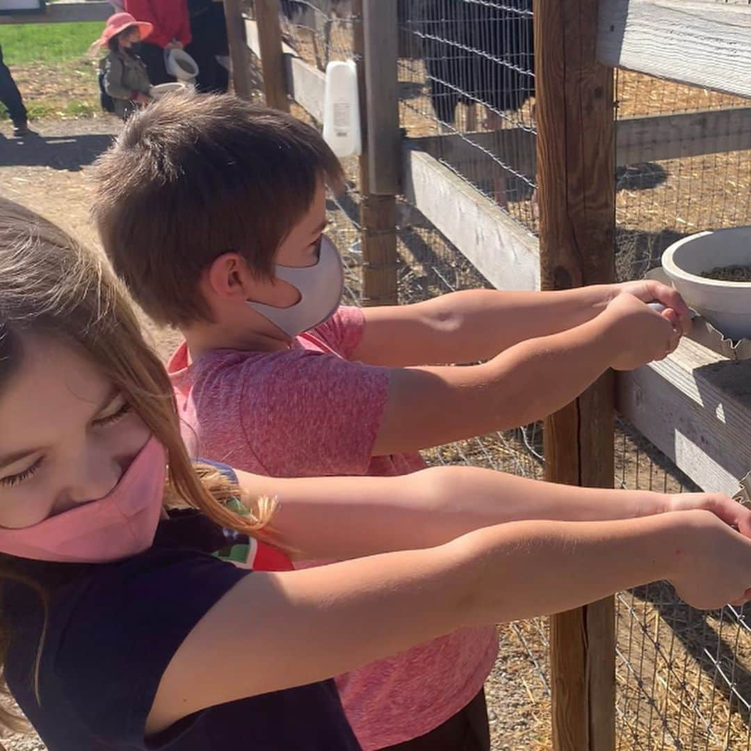 タック・ワトキンスさんのインスタグラム写真 - (タック・ワトキンスInstagram)「Taking a break from the stressful doomscroll of social media, Wendell Sommersby took his kids to an Ostrich Ranch and is now seeking an in-network psychiatrist.」2月22日 7時28分 - tucwatkins