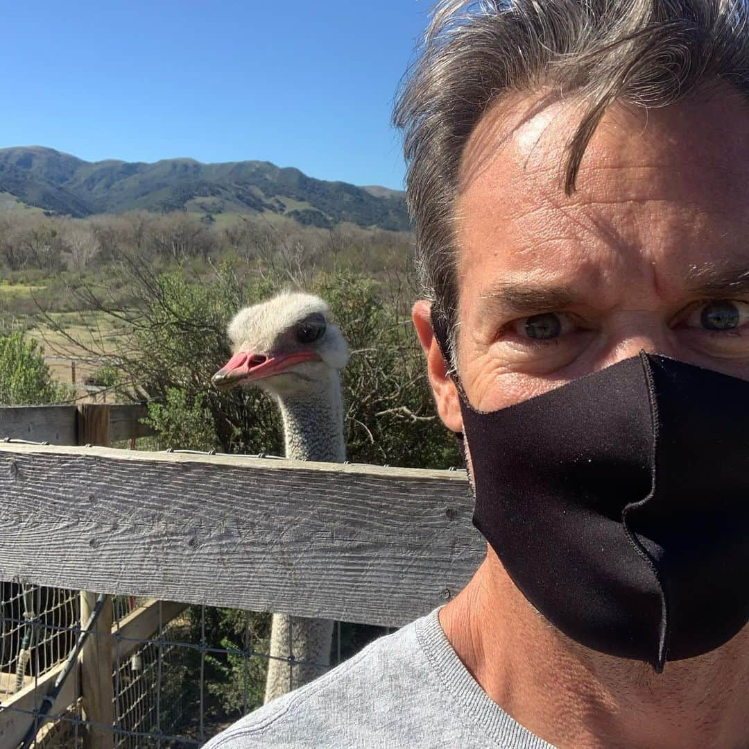 タック・ワトキンスさんのインスタグラム写真 - (タック・ワトキンスInstagram)「Taking a break from the stressful doomscroll of social media, Wendell Sommersby took his kids to an Ostrich Ranch and is now seeking an in-network psychiatrist.」2月22日 7時28分 - tucwatkins