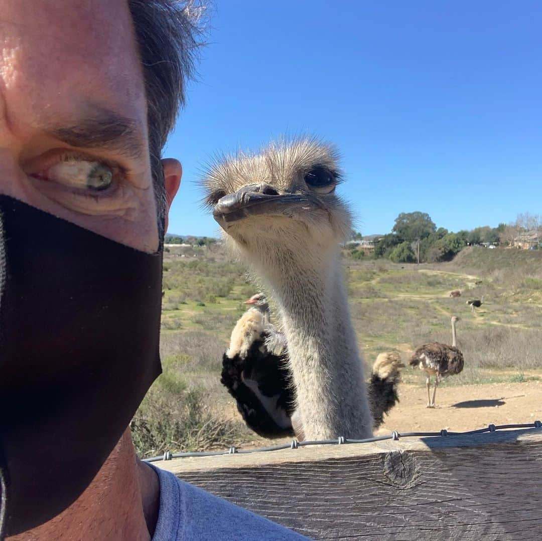 タック・ワトキンスさんのインスタグラム写真 - (タック・ワトキンスInstagram)「Taking a break from the stressful doomscroll of social media, Wendell Sommersby took his kids to an Ostrich Ranch and is now seeking an in-network psychiatrist.」2月22日 7時28分 - tucwatkins